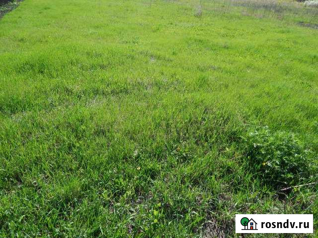 Участок ИЖС 15 сот. на продажу в Павловске Воронежской области Павловск - изображение 1