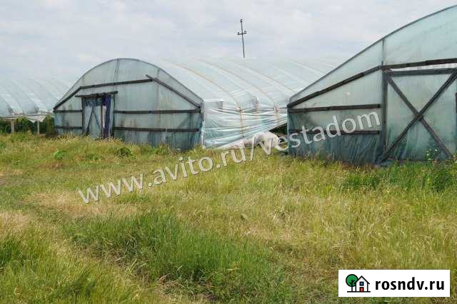 Участок СНТ, ДНП 1641 сот. на продажу в Северской Северская - изображение 1