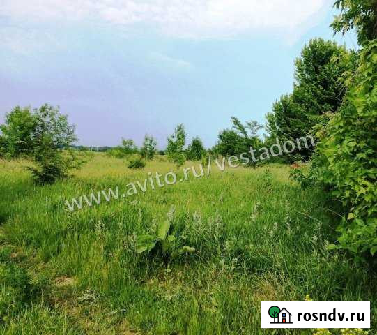 Участок СНТ, ДНП 1600 сот. на продажу в Северской Северская - изображение 1