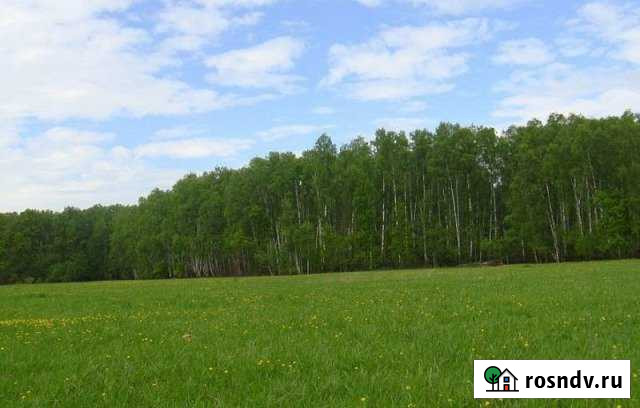 Участок ИЖС 20 сот. на продажу в Сиве Сива - изображение 1