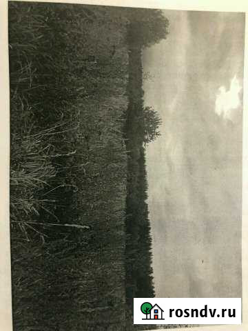 Участок СНТ, ДНП 620 сот. на продажу в Куровском Куровское - изображение 1