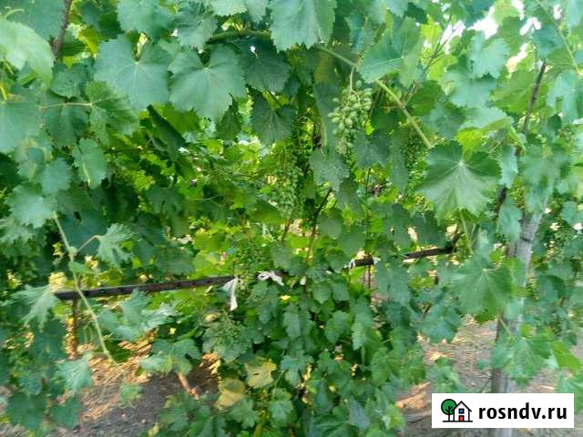 Дом 80 м² на участке 10 сот. на продажу в Усть-Донецком Усть-Донецкий - изображение 1