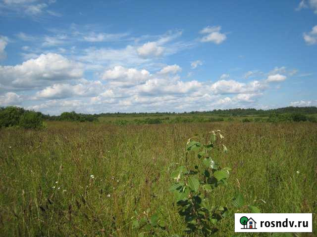 Участок СНТ, ДНП 386 сот. в аренду в Мурмино Мурмино - изображение 1