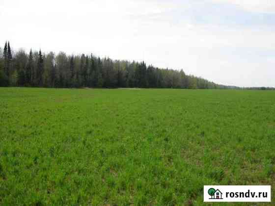 Участок ИЖС 10 сот. на продажу в Добрянке Добрянка