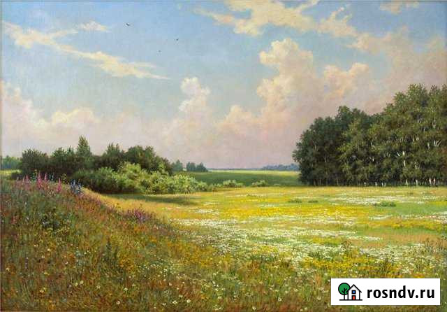 Участок СНТ, ДНП 274 сот. в аренду в Перми Пермь - изображение 1