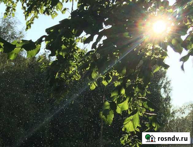 Участок СНТ, ДНП 15 сот. на продажу в Гдове Гдов - изображение 1