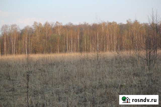 Участок ИЖС 20 сот. на продажу в Кременках Кременки - изображение 1