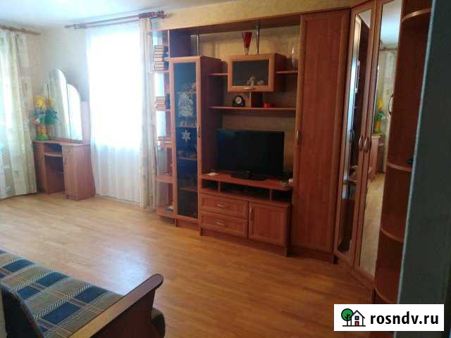 1-комнатная квартира, 39 м², 1/10 эт. в аренду на длительный срок в Сертолово Сертолово - изображение 1