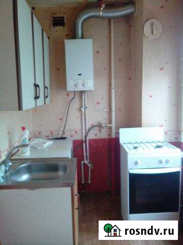 1-комнатная квартира, 27 м², 2/5 эт. в аренду на длительный срок в Новопетровском Новопетровское - изображение 1