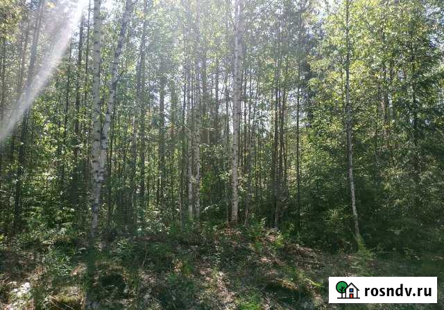 Участок СНТ, ДНП 7 сот. на продажу в Рощино Ленинградской области Рощино - изображение 1