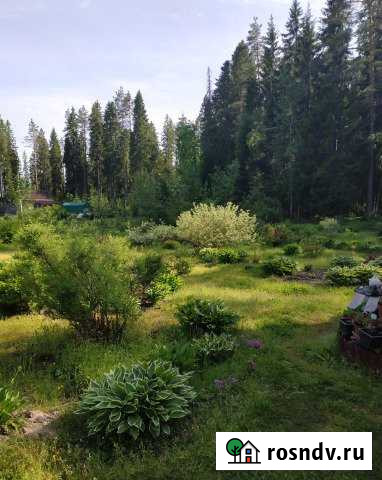 Участок СНТ, ДНП 8 сот. на продажу в Рощино Ленинградской области Рощино - изображение 1