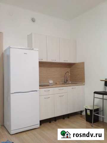 Квартира-студия, 24 м², 17/17 эт. в аренду на длительный срок в Видном Видное - изображение 1