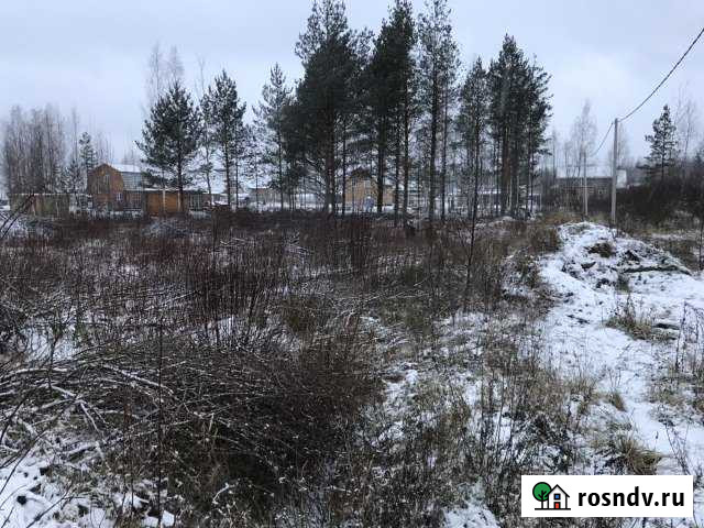 Участок СНТ, ДНП 19 сот. на продажу в Мге Мга - изображение 1