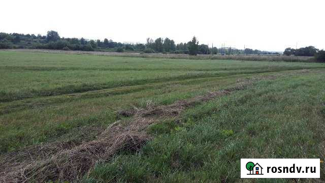 Участок ИЖС 45 сот. на продажу в Донском Донской - изображение 1