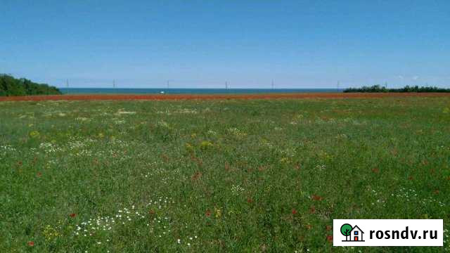 Участок СНТ, ДНП 374 сот. на продажу в Сенном Сенной - изображение 1