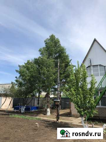 Дача 60 м² на участке 10 сот. на продажу в Нежинке Нежинка - изображение 1