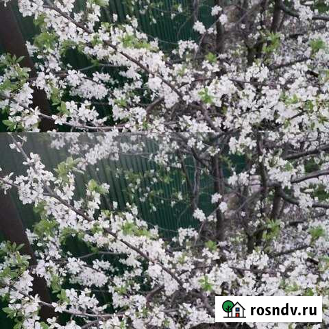 Участок ИЖС 12 сот. на продажу в Мирном Самарской области Мирный - изображение 1