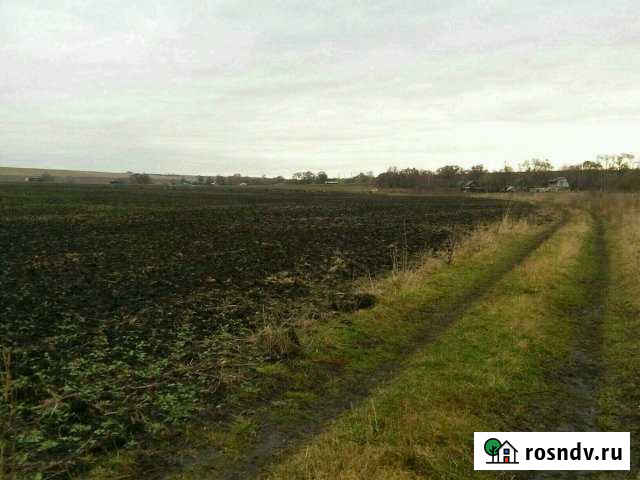 Участок ИЖС 27 сот. на продажу в Богородицке Богородицк - изображение 1