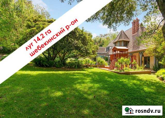 Участок СНТ, ДНП 1440 сот. на продажу в Бехтеевке Бехтеевка - изображение 1