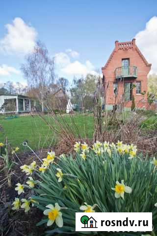 Дача 40 м² на участке 8 сот. на продажу в Ногинске Ногинск - изображение 1