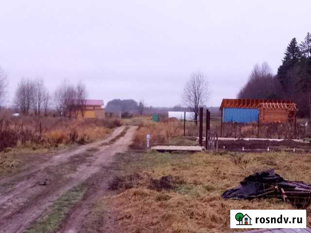 Участок СНТ, ДНП 100 сот. на продажу в Елизаветино Елизаветино - изображение 1