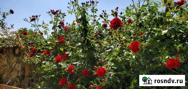 Участок ИЖС 9 сот. на продажу в Красноперекопске Красноперекопск - изображение 1