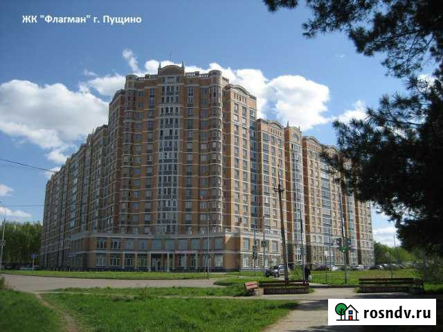 Помещение свободного назначения, 268.5 кв.м. Пущино - изображение 1