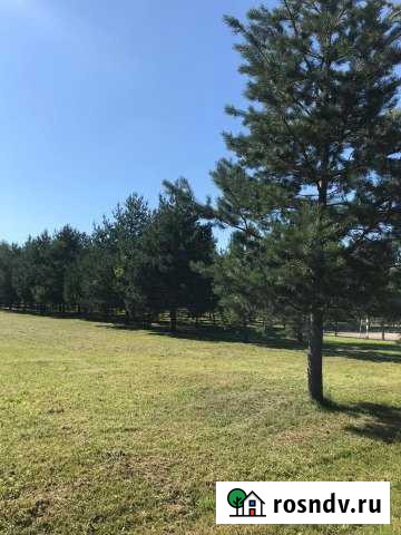 Участок ИЖС 48 сот. на продажу в Любучанах Любучаны - изображение 1