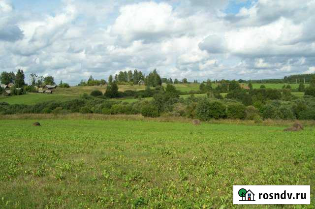 Участок ИЖС 25 сот. на продажу в Верхней Тишанке Верхняя Тишанка - изображение 1