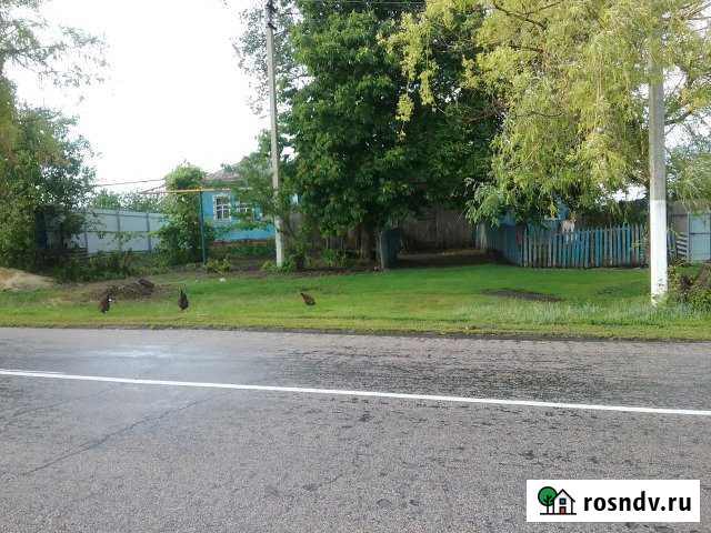 Дом 40 м² на участке 36 сот. на продажу в Скородном Скородное - изображение 1