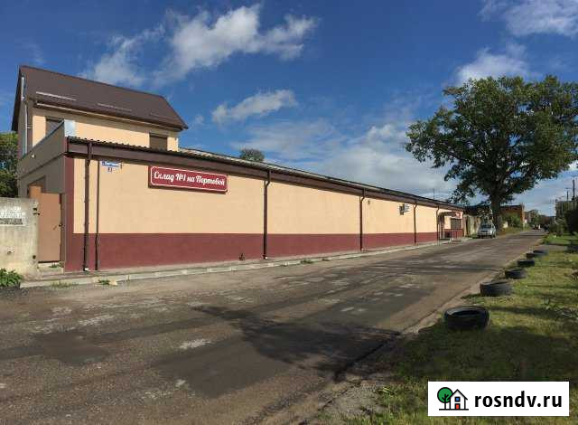 Сдам в аренду офисное помещение, 90 кв.м. Черняховск - изображение 1