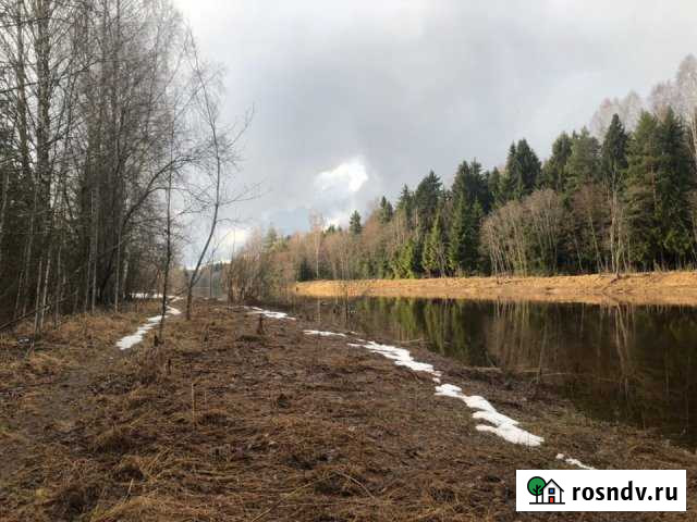 Участок СНТ, ДНП 9 сот. на продажу в Тосно Тосно - изображение 1