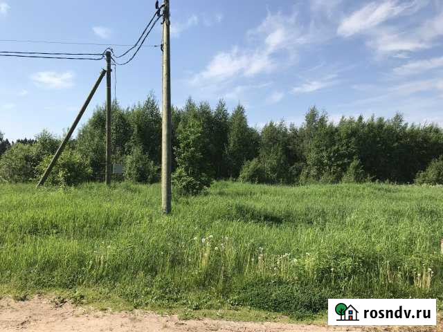 Участок ИЖС 20 сот. на продажу в Сиверском Сиверский - изображение 1