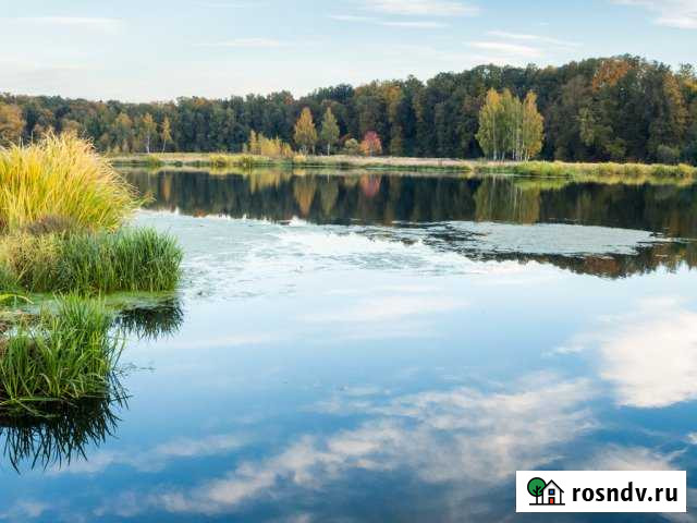 Дом 370 м² на участке 14 сот. на продажу в Королеве Королев - изображение 1