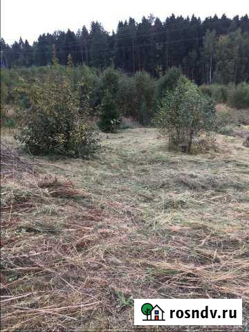 Участок СНТ, ДНП 6 сот. на продажу в Красноармейске Московской области Красноармейск - изображение 1