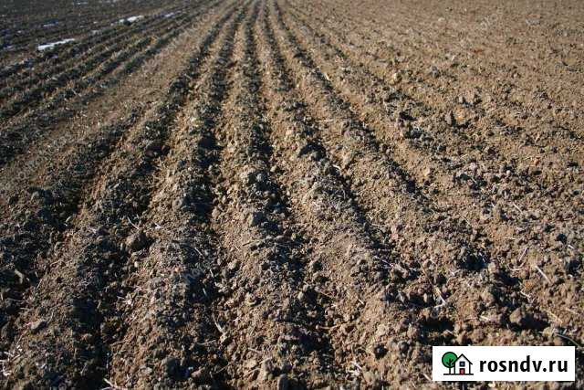 Участок СНТ, ДНП 57000 сот. на продажу в Садовом Республики Калмыкия Садовое - изображение 1