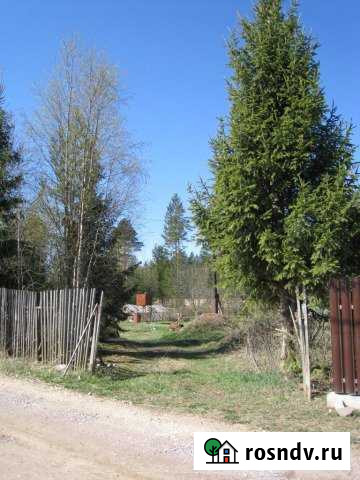 Участок СНТ, ДНП 14 сот. на продажу в Сосновом Бору Сосновый Бор - изображение 1