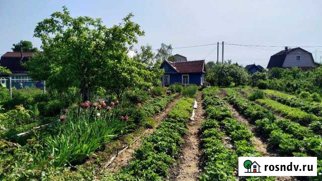 Дача 30 м² на участке 12 сот. на продажу в Великом Новгороде Великий Новгород - изображение 1