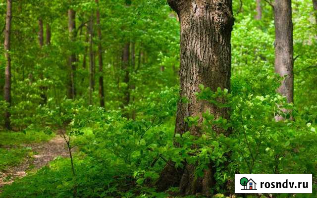 Участок СНТ, ДНП 16 сот. на продажу в Находке Находка - изображение 1