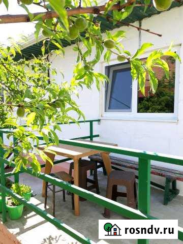 Квартира-студия, 20 м², 1/1 эт. в аренду посуточно в Голубицкой Голубицкая - изображение 1