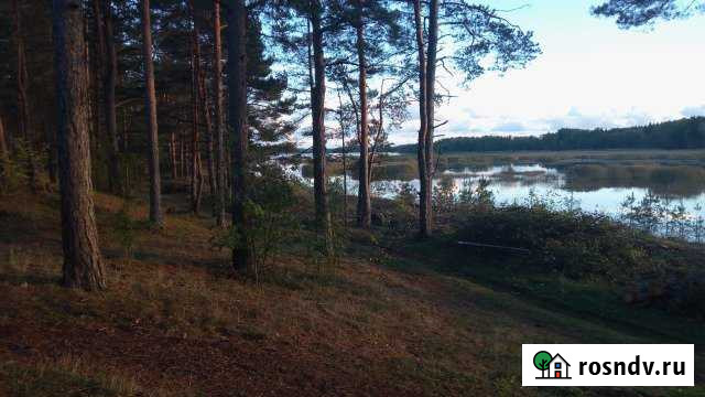 Участок ИЖС 25 сот. на продажу в Высоцке Высоцк - изображение 1