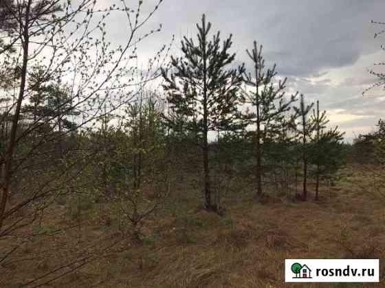 Участок ИЖС 10 сот. на продажу в Агалатово Агалатово