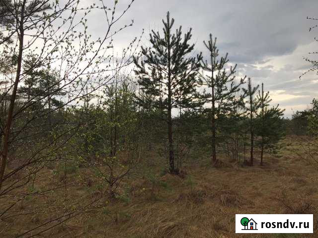 Участок ИЖС 10 сот. на продажу в Агалатово Агалатово - изображение 1