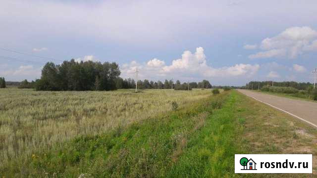 Участок СНТ, ДНП 179950 сот. на продажу в Зырянском Зырянское - изображение 1