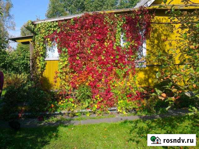 Дом 60.7 м² на участке 10 сот. на продажу в Толмачево Ленинградской области Толмачево - изображение 1