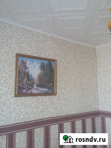 3-комнатная квартира, 50 м², 1/3 эт. на продажу в Починках Починки - изображение 1