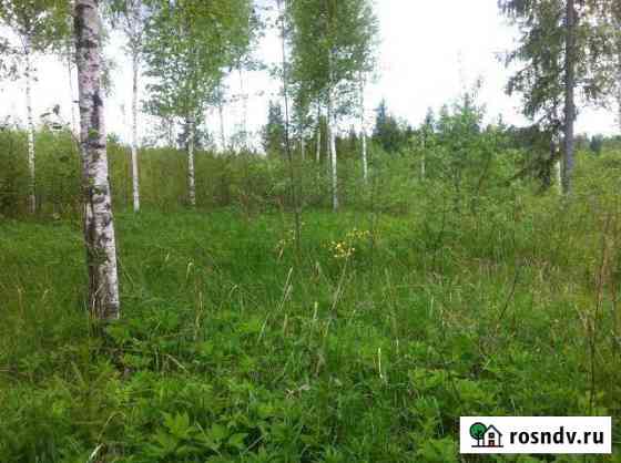 Участок СНТ, ДНП 10 сот. на продажу в Форносово Форносово
