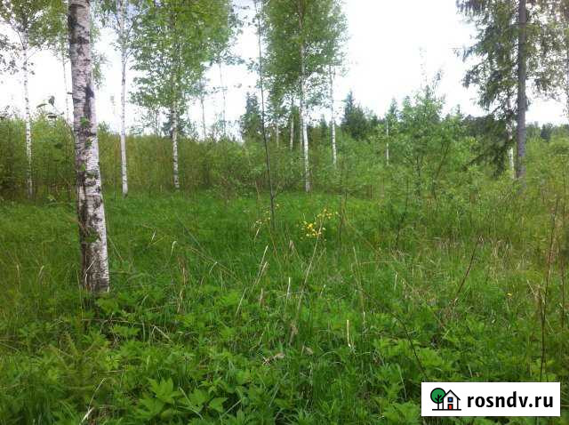 Участок СНТ, ДНП 10 сот. на продажу в Форносово Форносово - изображение 1