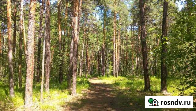 Участок СНТ, ДНП 15 сот. на продажу в Гдове Гдов - изображение 1