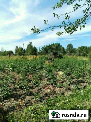 Участок СНТ, ДНП 8 сот. на продажу в Червишево Червишево - изображение 1